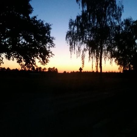 Entspannen & Wohlfuehlen In Der Lueneburger Heide Vierhofen Екстер'єр фото